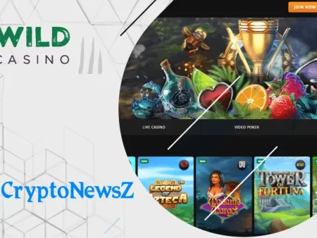 Wild Casino Review 2024: Legit Casino With Bonuses